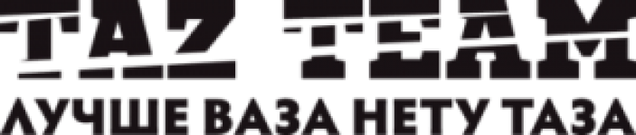 TAZ Team 2