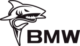 BMW Shark