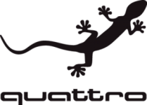 AUDI QUATTRO GECKO