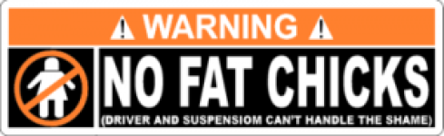 No Fat Chicks Cant Handle the Shame