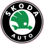 Skoda Шкода Цветная