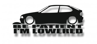 be patient i'm lowered e36 compact
