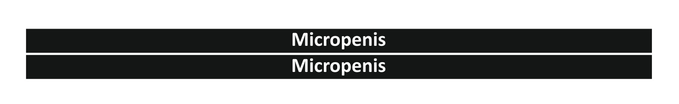 micropenis