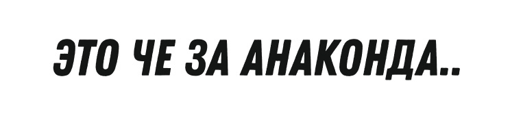 это че за анаконда