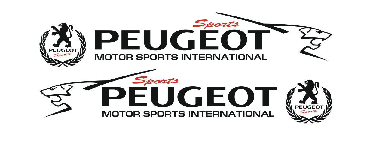 sport PEUGEOT international