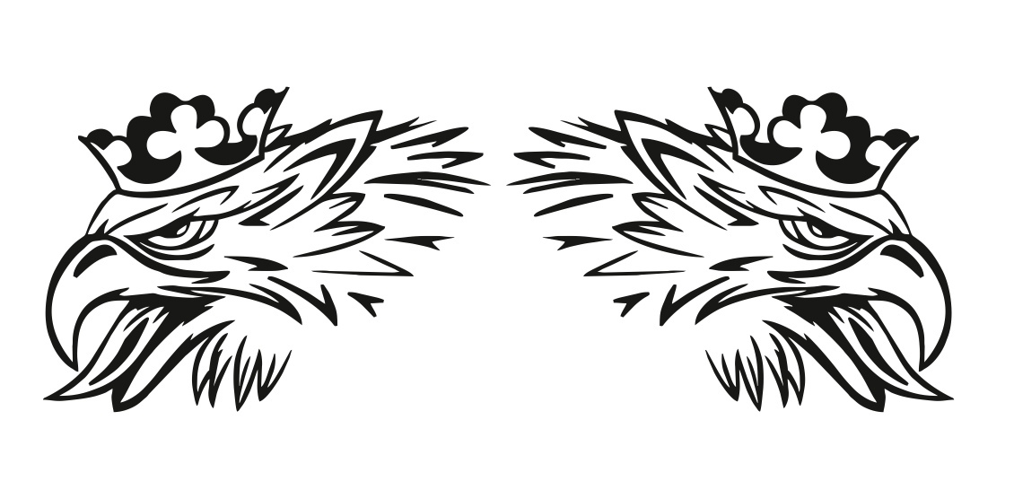 scania (2)