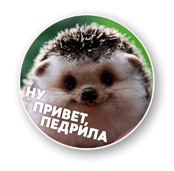 ну привет педрила