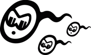 Sperm Racing