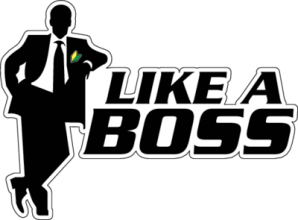 Like A Boss Soshinoya