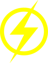 Flash Logo
