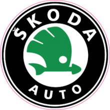 Skoda Шкода Цветная