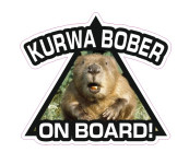 bober kurwa