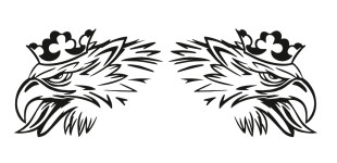scania (2)