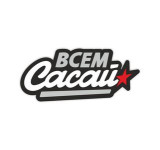 всем сасай