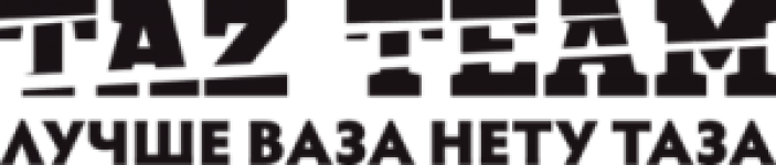 TAZ Team 2