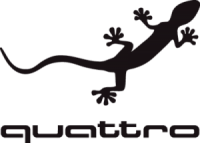 AUDI QUATTRO GECKO