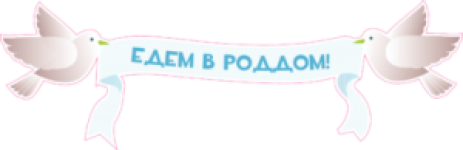 Едем в роддом