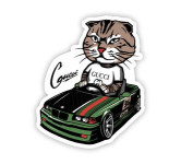 GUCCI cat